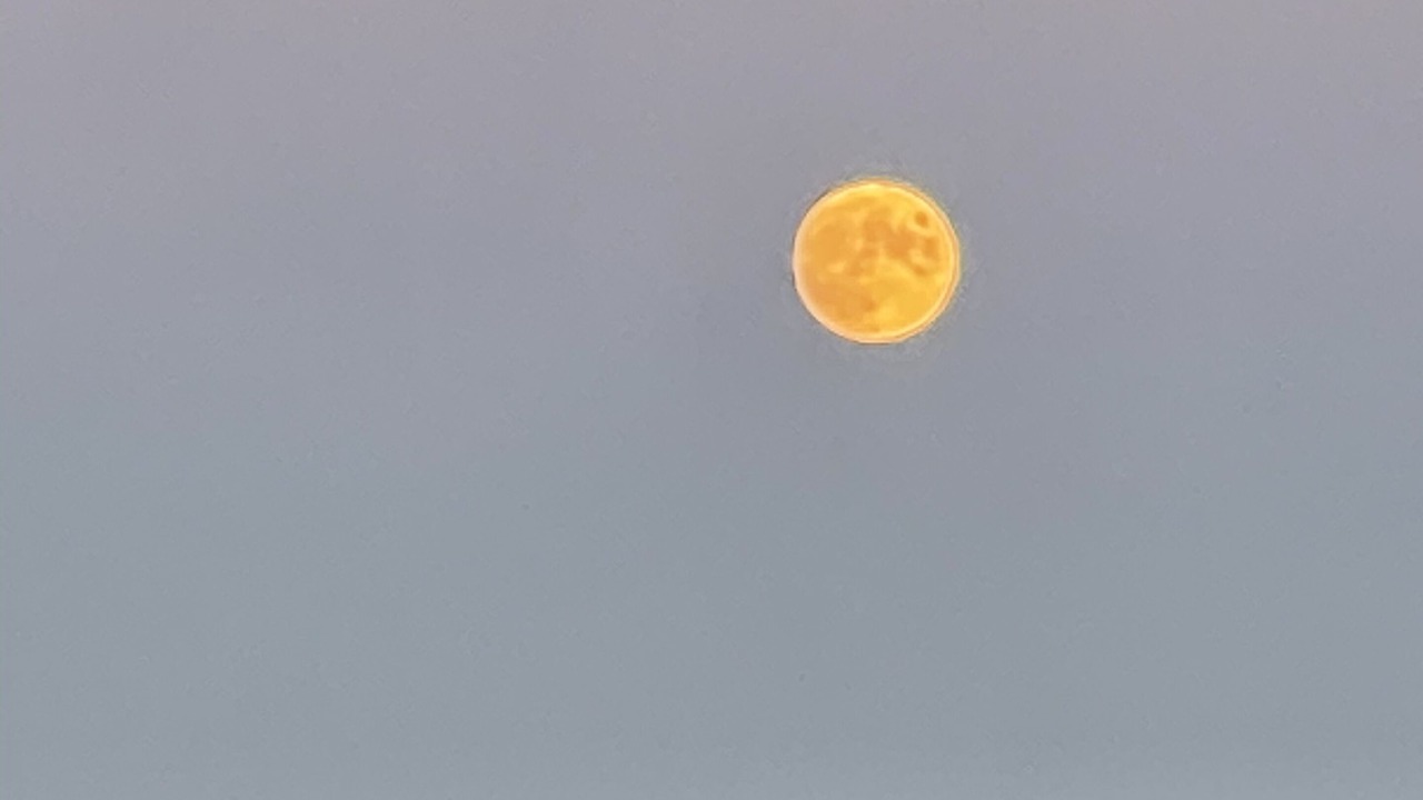 Photo of Outdoor in Delton