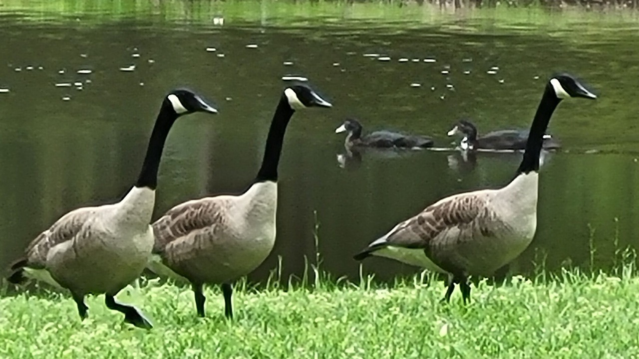 Photo of Others in Pennington