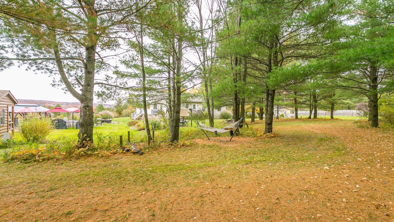 Photo of Outdoor in Hammondsport
