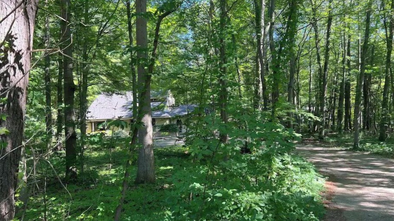 Photo of Outdoor in West Olive