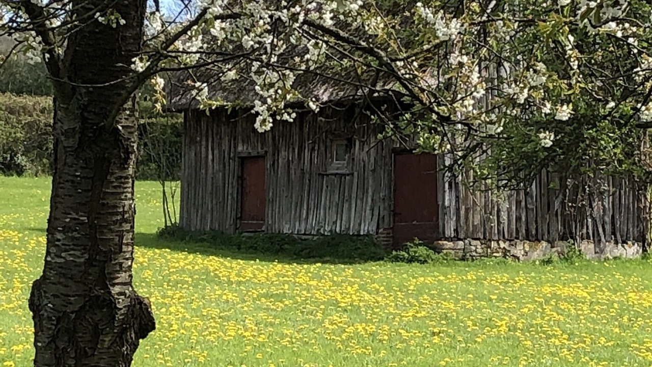 Photo of Outdoor in Mardilly