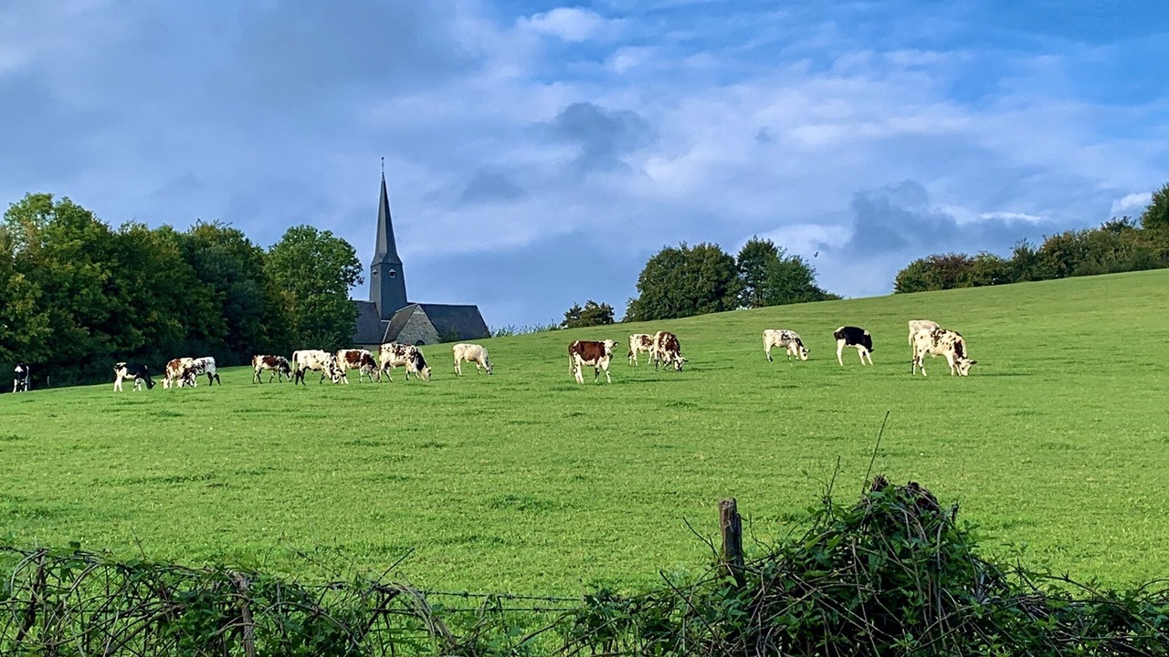 Photo of Others in Mardilly