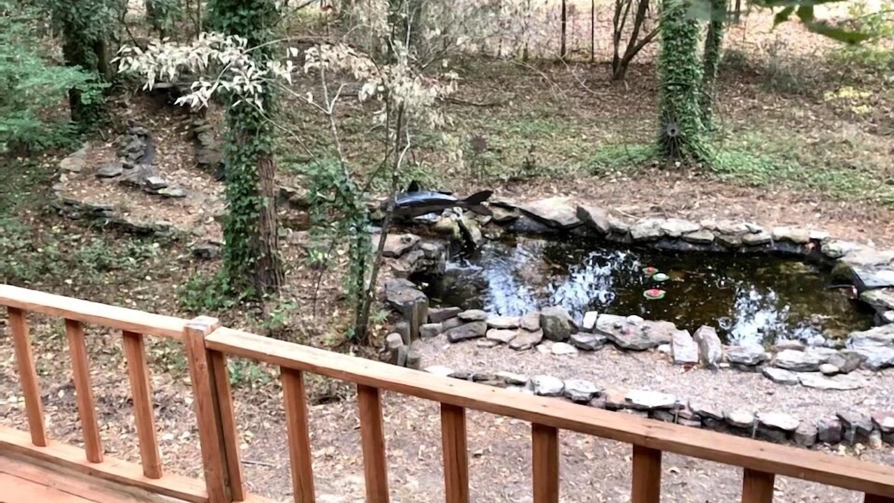 Photo of Outdoor in Tumbling Shoals