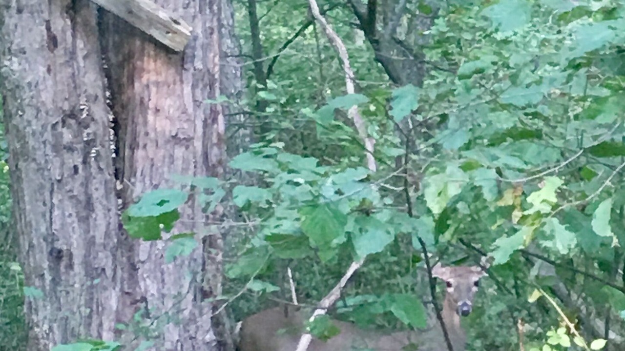 Photo of Others in Bladensburg