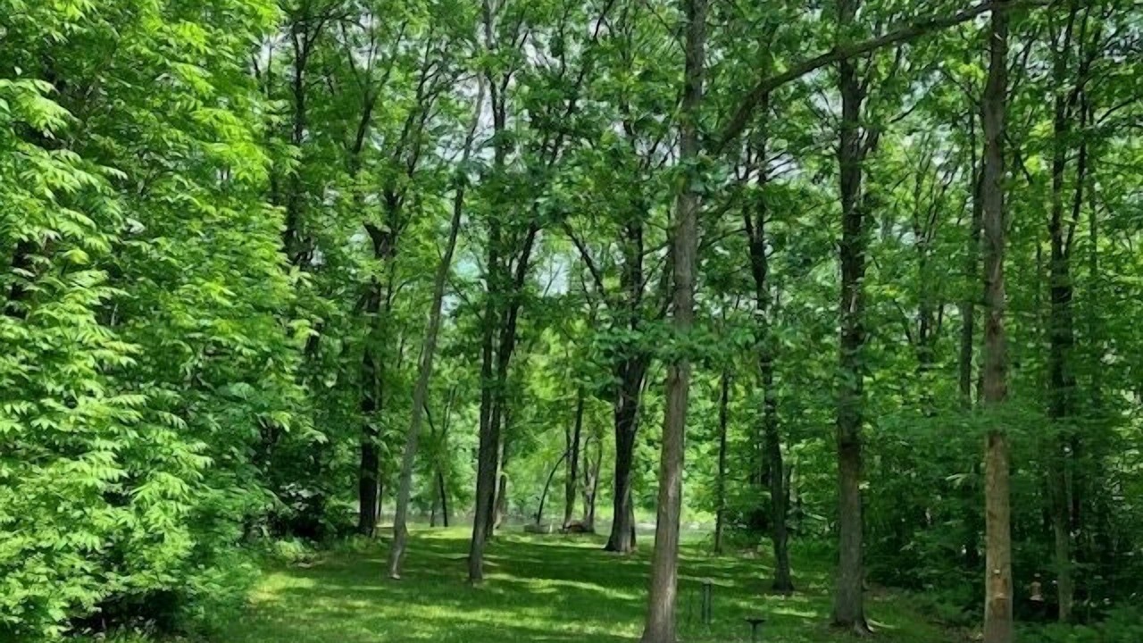 Photo of Others in Pine City