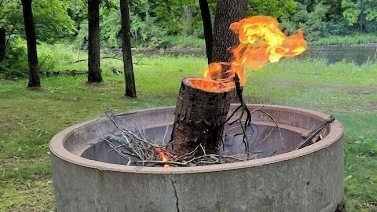 Photo of Outdoor in Pine City