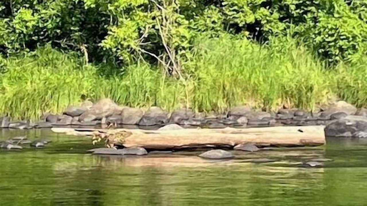 Photo of Others in Pine City