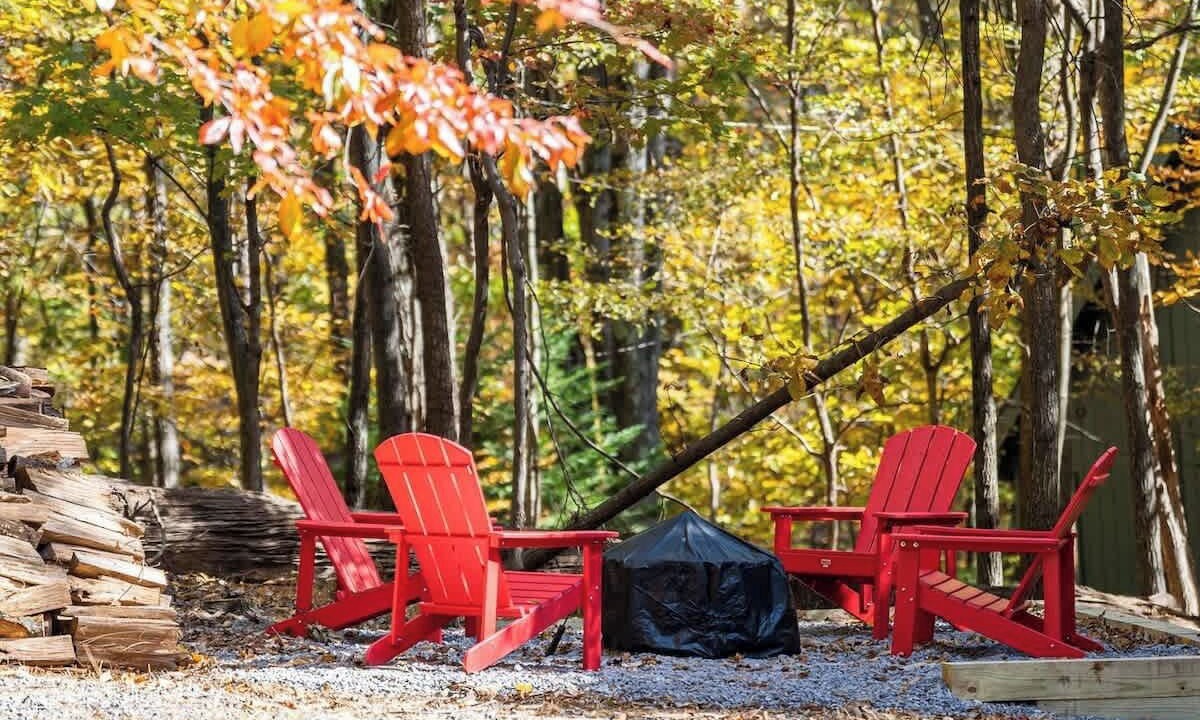 Photo of Others in The Woods