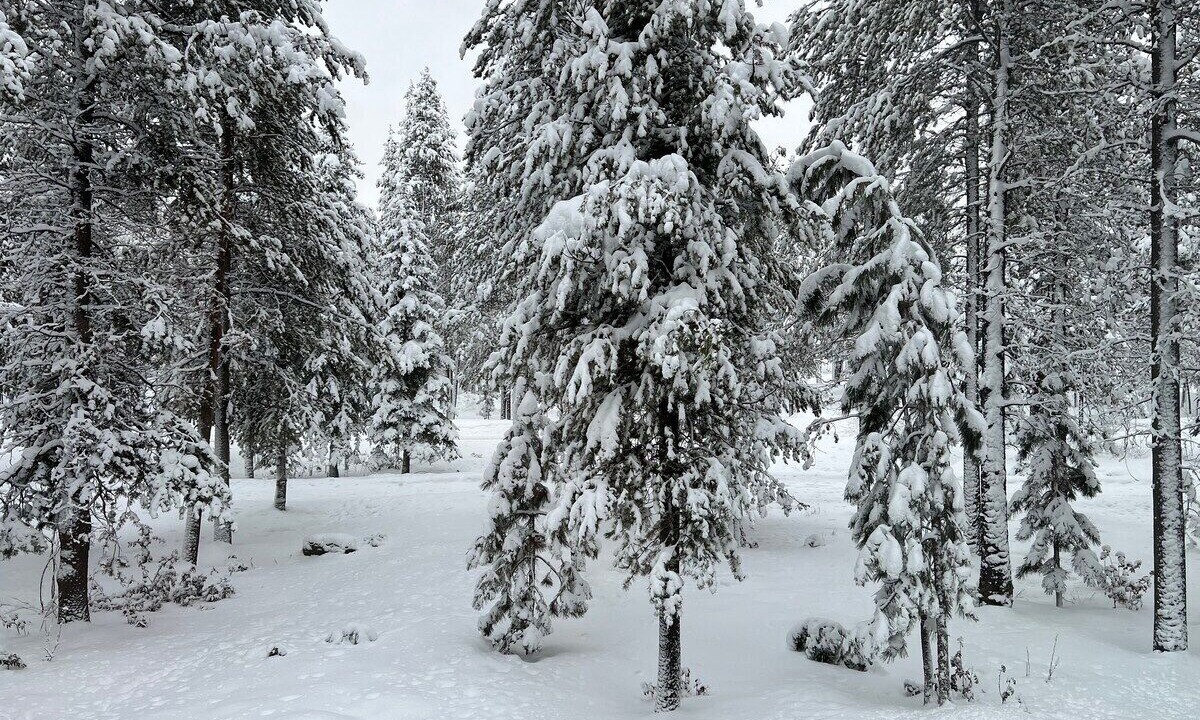 Photo of Others in Tennis Village