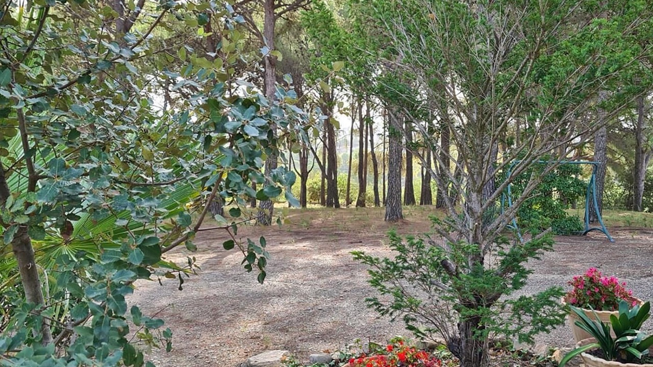 Photo of Outdoor in Valls