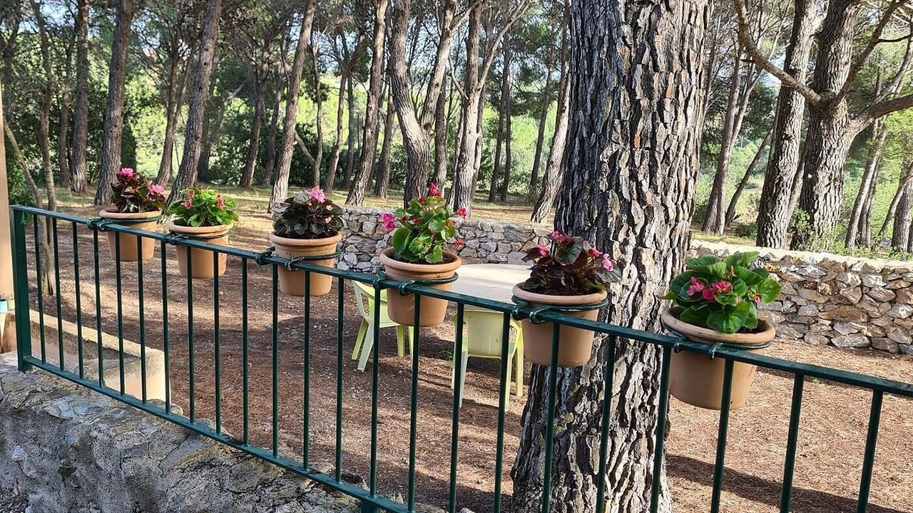 Photo of Patio Balcony in Valls