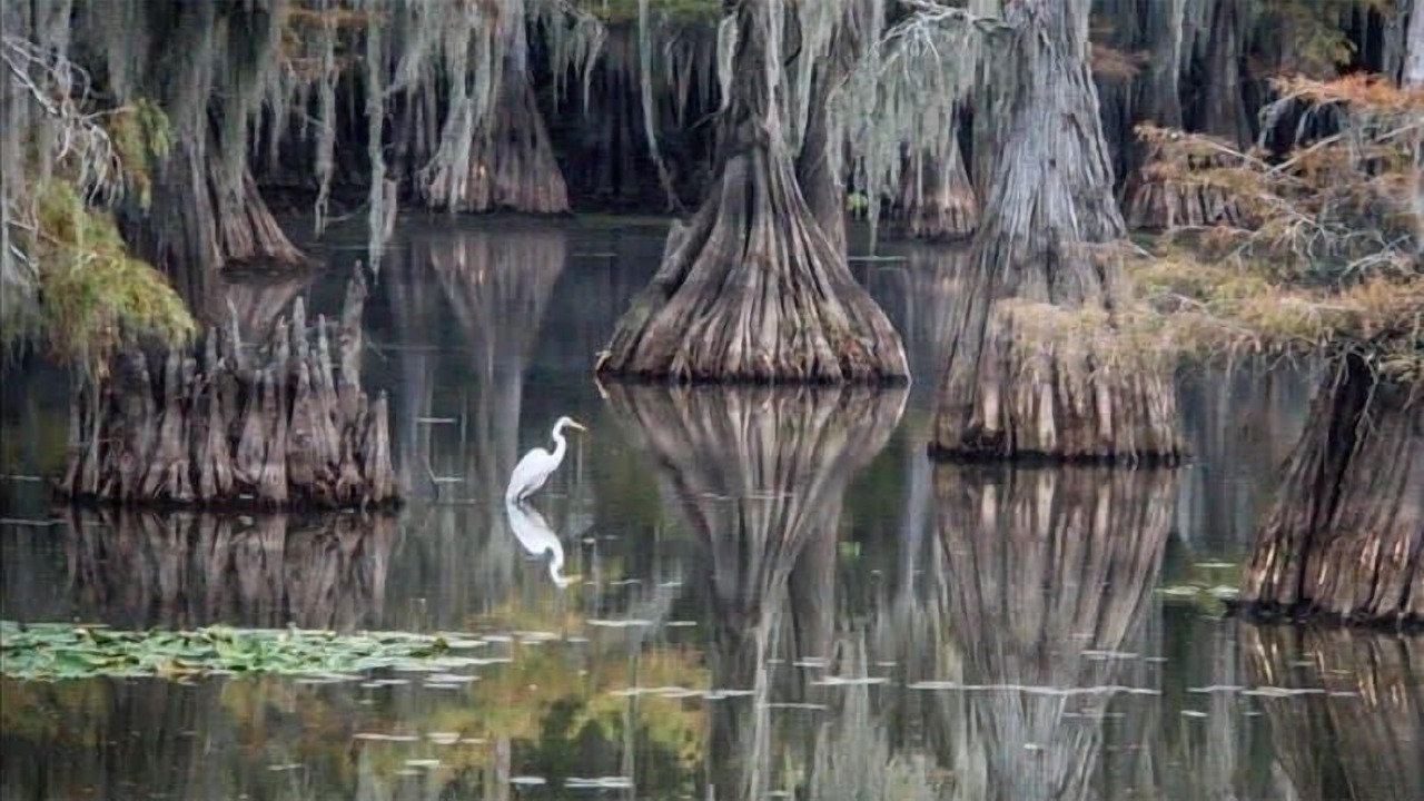 Photo of Outdoor in McLeod