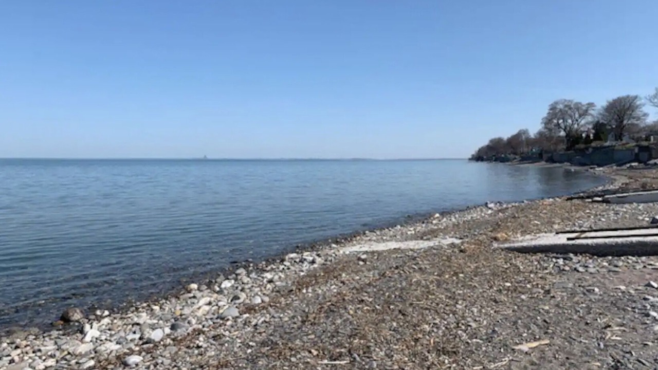Photo of Others in Lake View