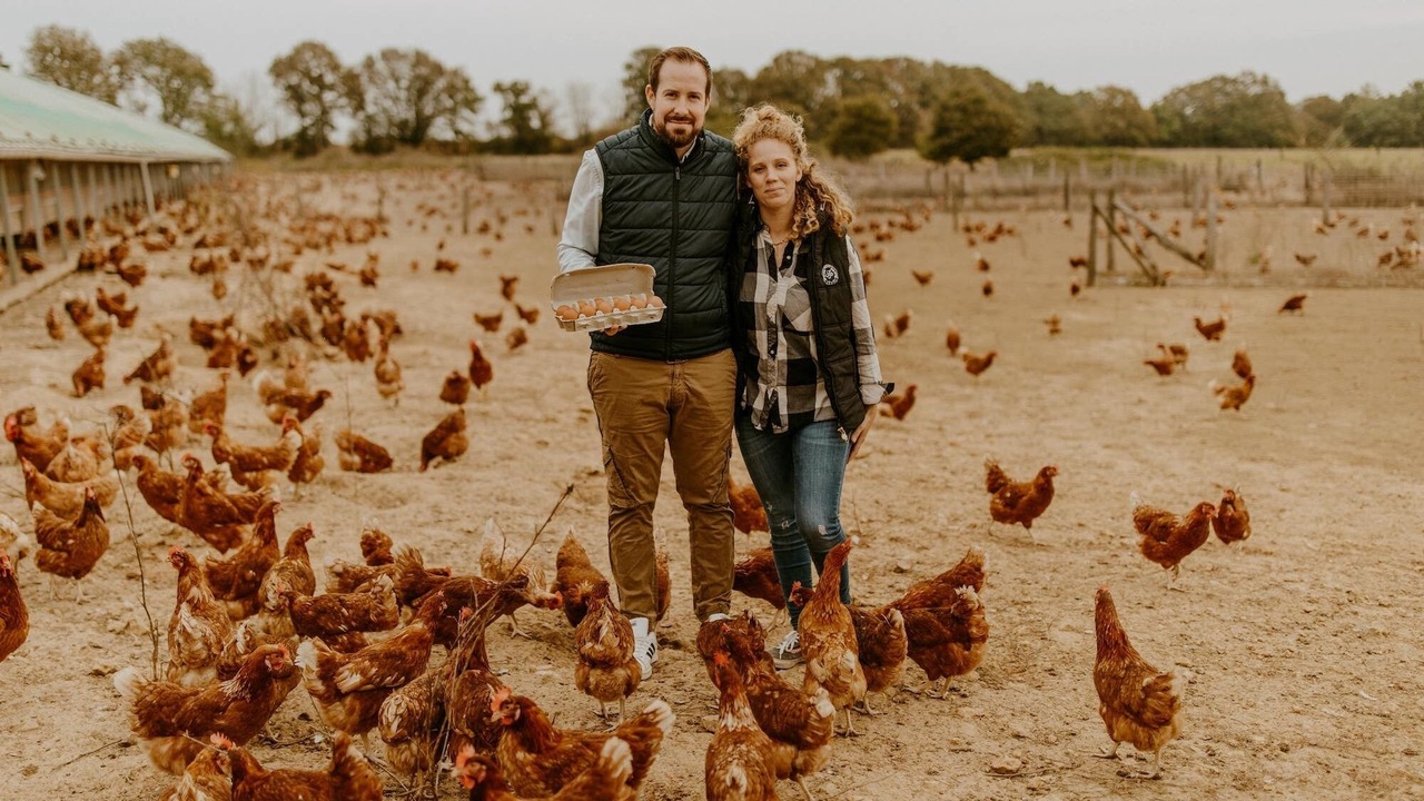 Photo of Others in Vibraye