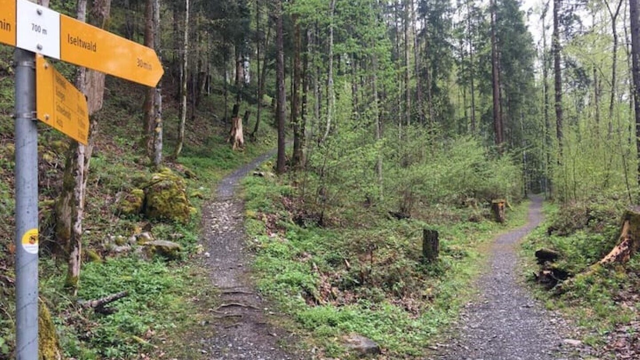 Photo of Outdoor in Iseltwald