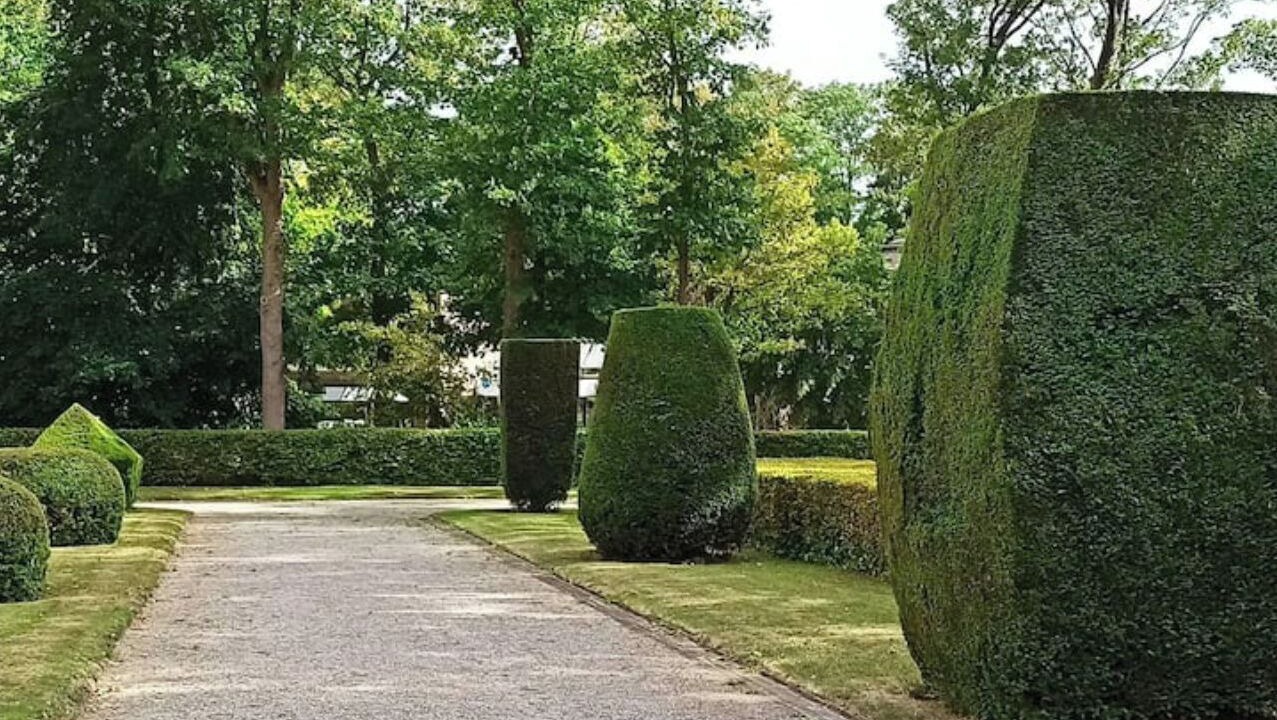 Photo of Outdoor in Lens
