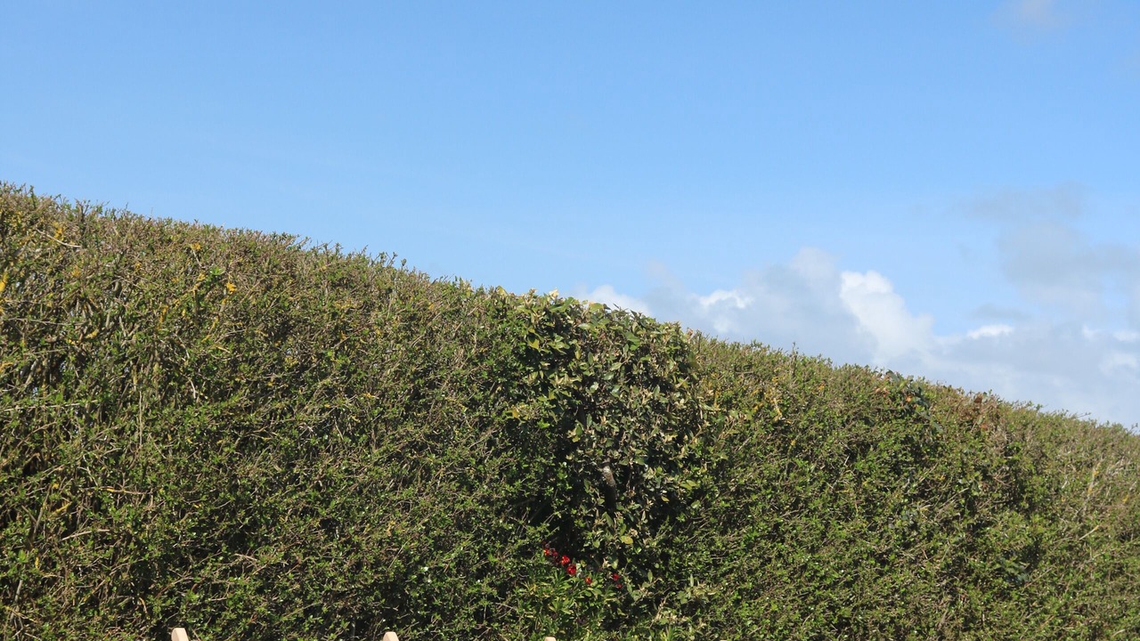 Photo of Outdoor in Le Fenouiller