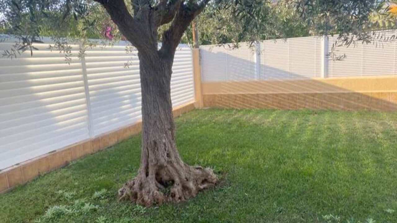 Photo of Outdoor in Benicassim