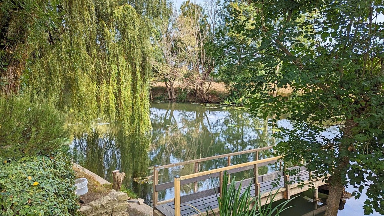 Photo of Outdoor in Saint-Genis-d'Hiersac