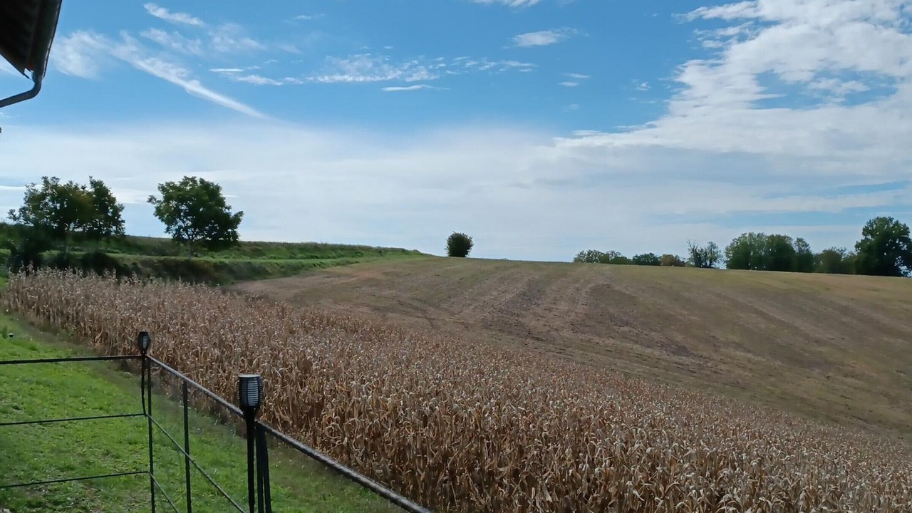 Photo of Others in Montignac-le-Coq
