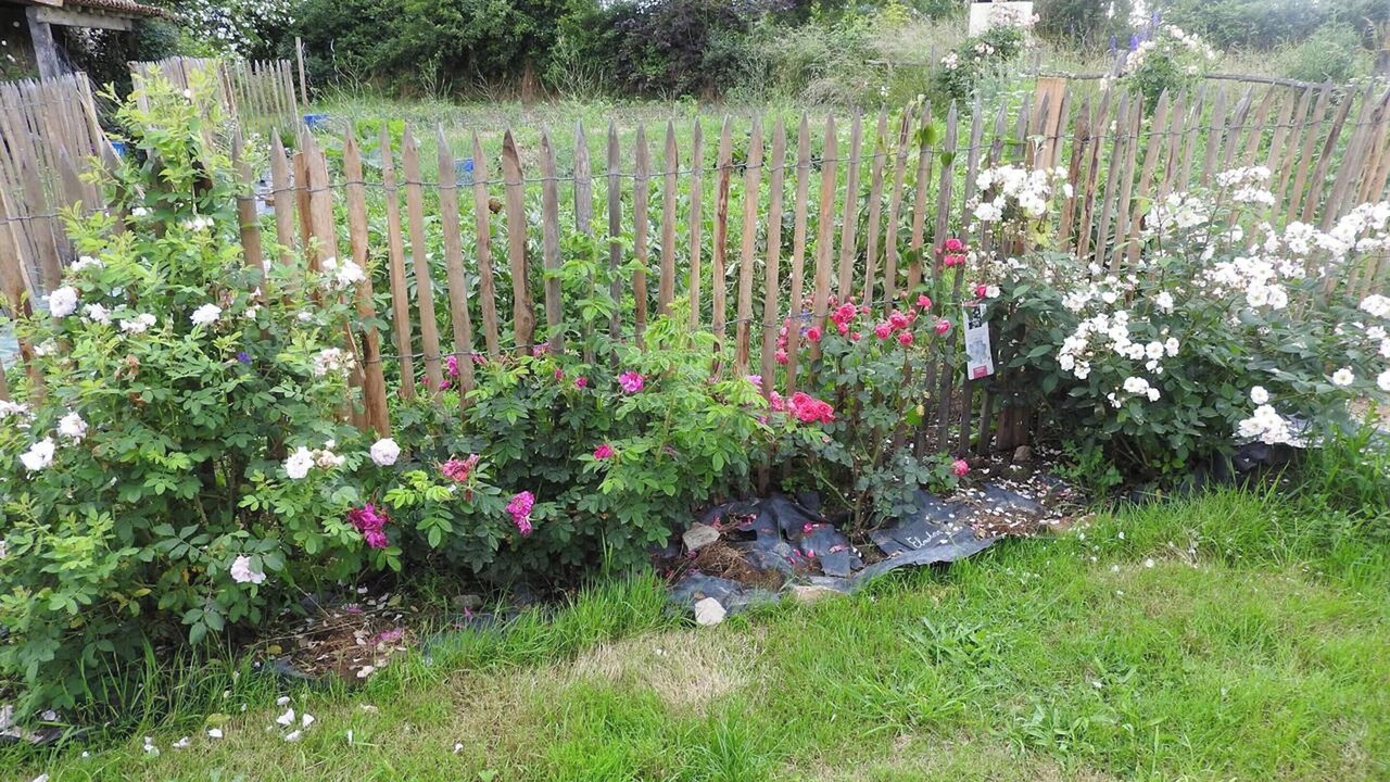 Photo of Outdoor in Nueil-les-Aubiers