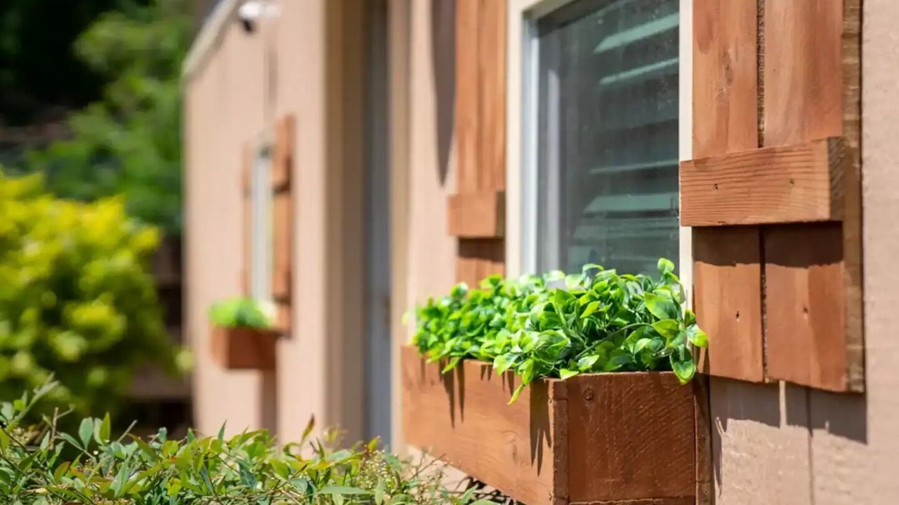 Photo of Outdoor in North Nashville
