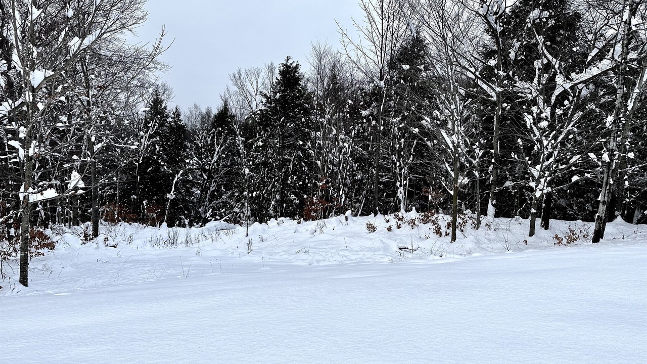 Photo of Others in North Creek