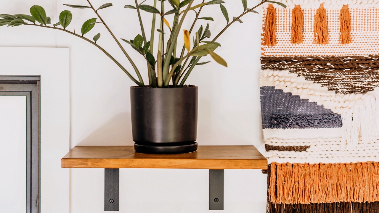 Photo of Others in Jamaica