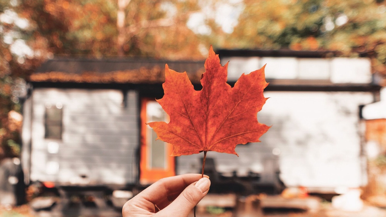 Photo of Others in Jamaica