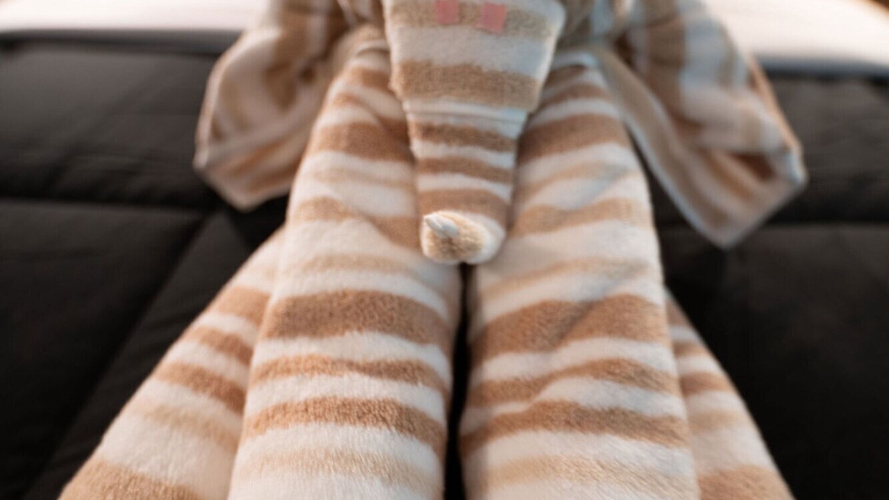 Photo of Others in Lambertville