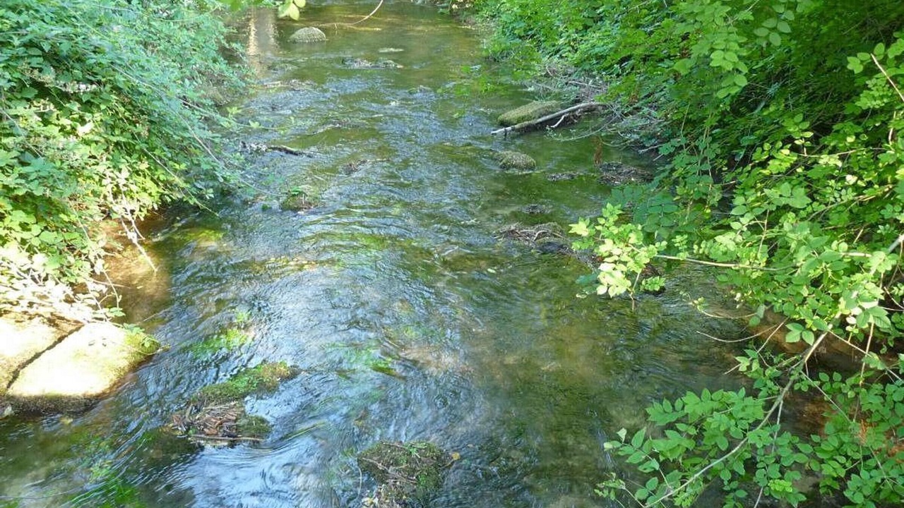 Photo of Outdoor in Asnieres-sur-Nouere