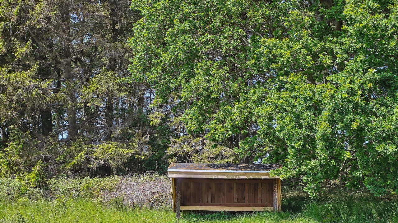 Photo of Others in Grenaa