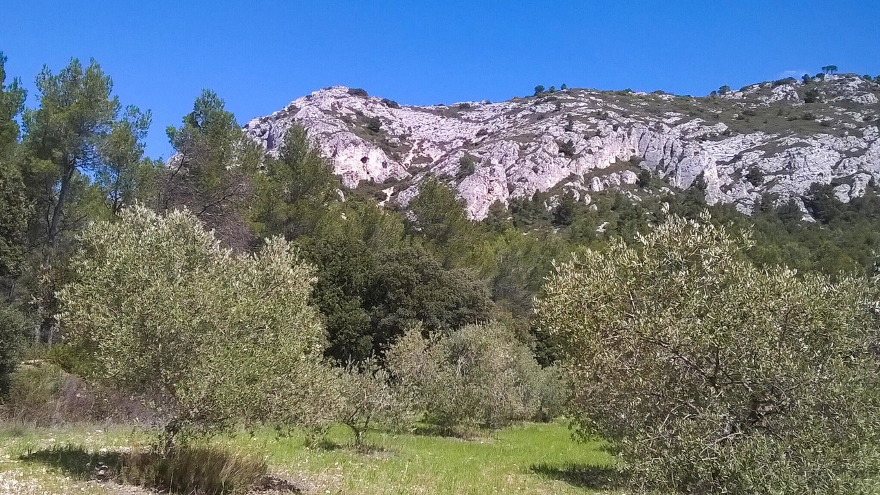 Photo of Others in Puget
