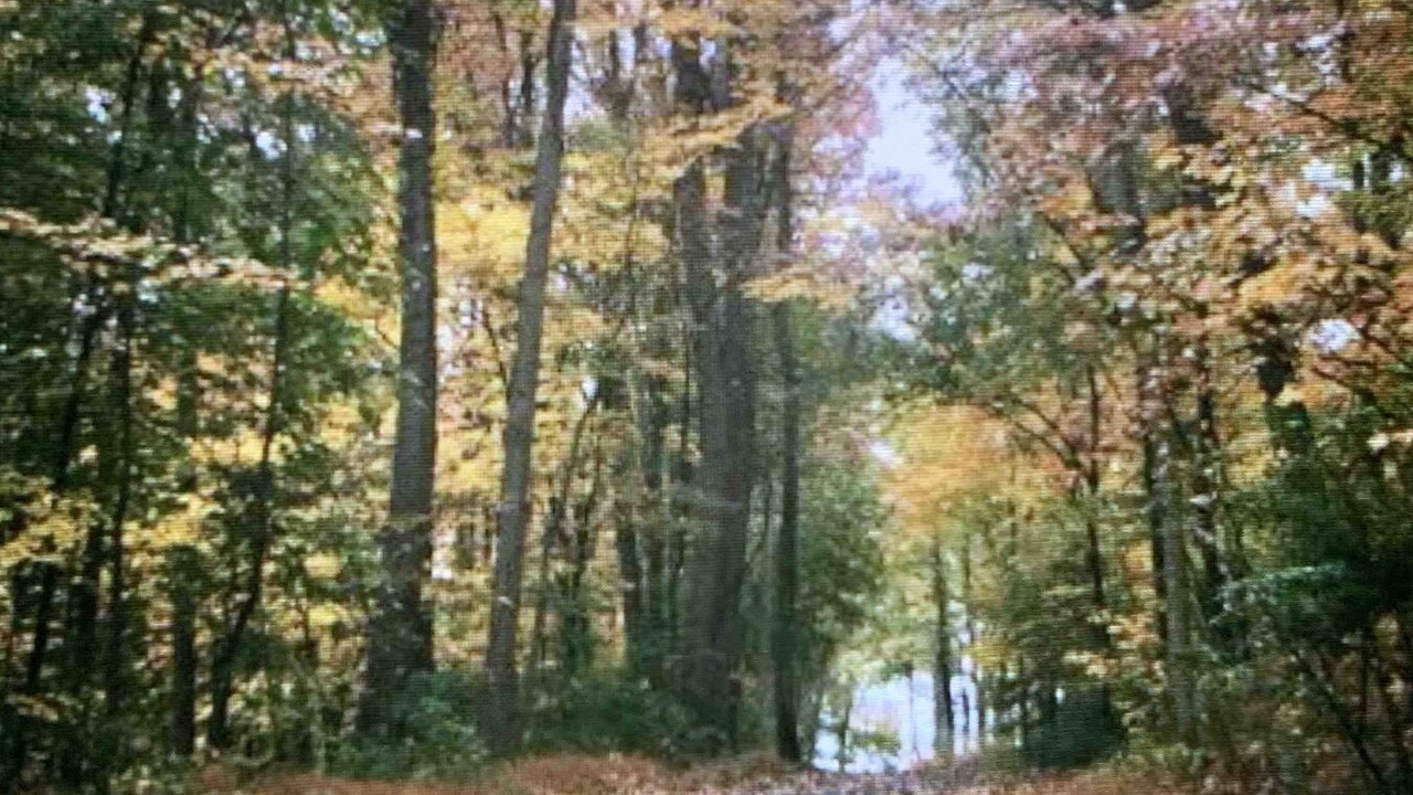 Photo of Others in Brunnerville