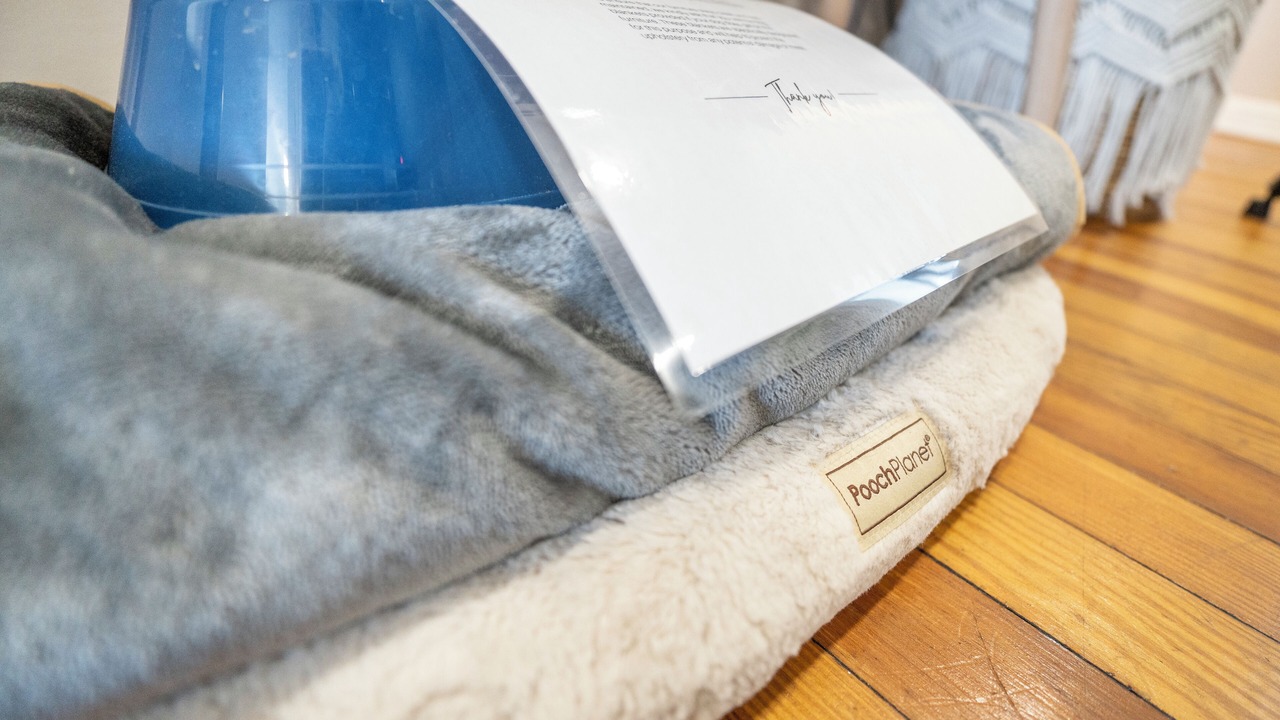 Photo of Others in Downtown