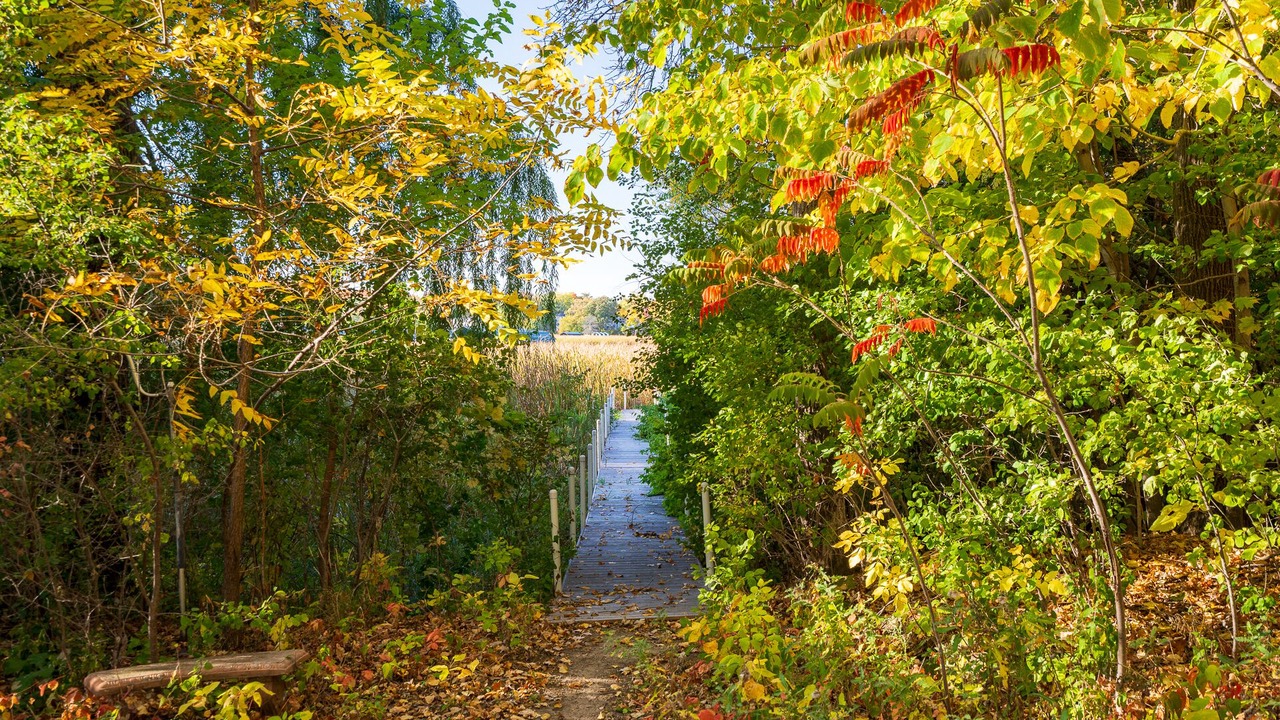 Photo of Outdoor in Mound