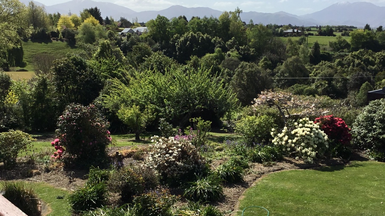 Photo of Outdoor in Geraldine