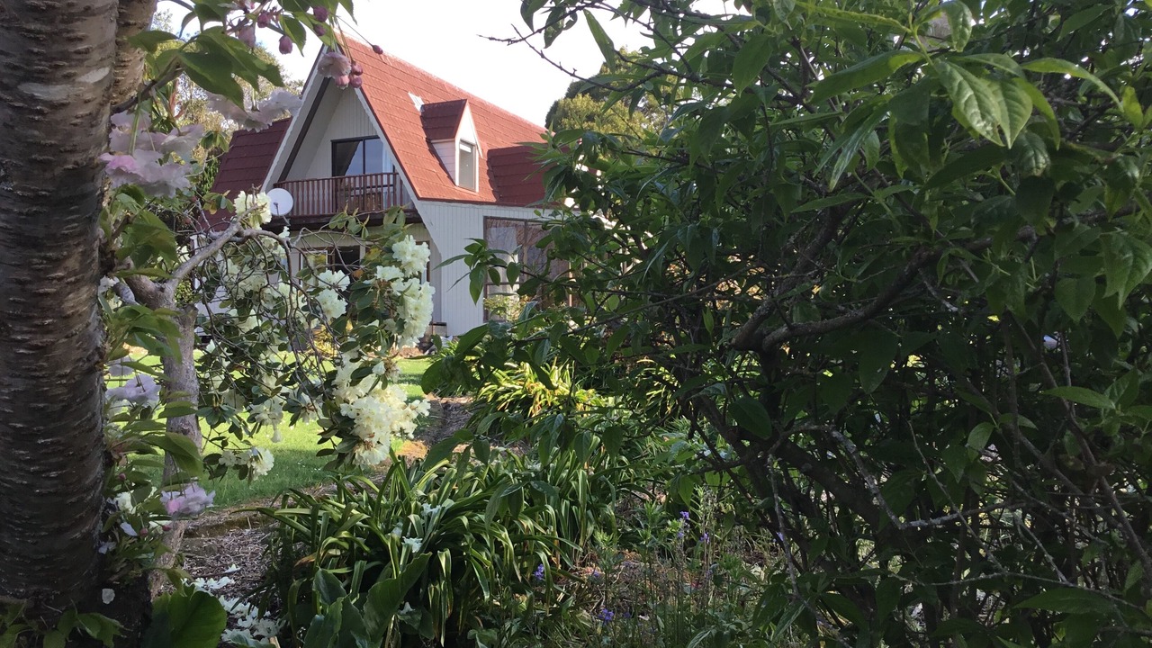 Photo of Outdoor in Geraldine