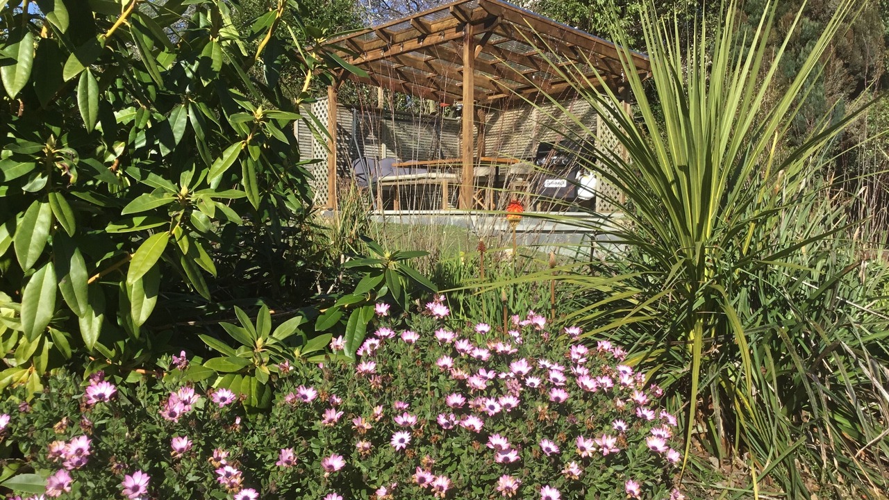 Photo of Patio Balcony in Geraldine