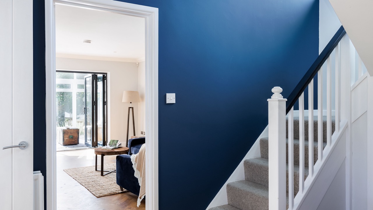 Photo of Others in New Forest District