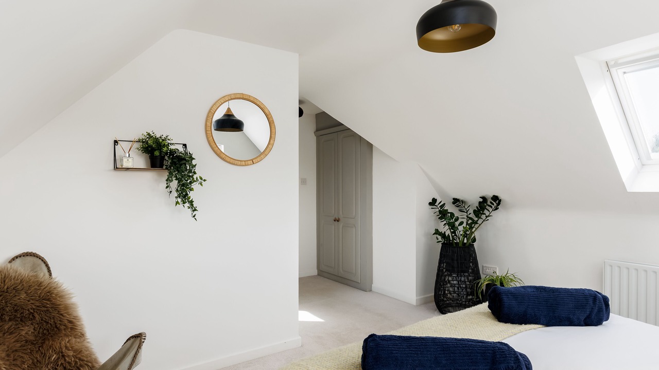 Photo of Others in New Forest District