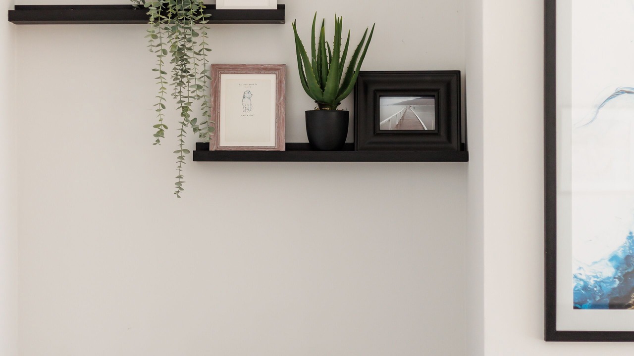 Photo of Others in New Forest District