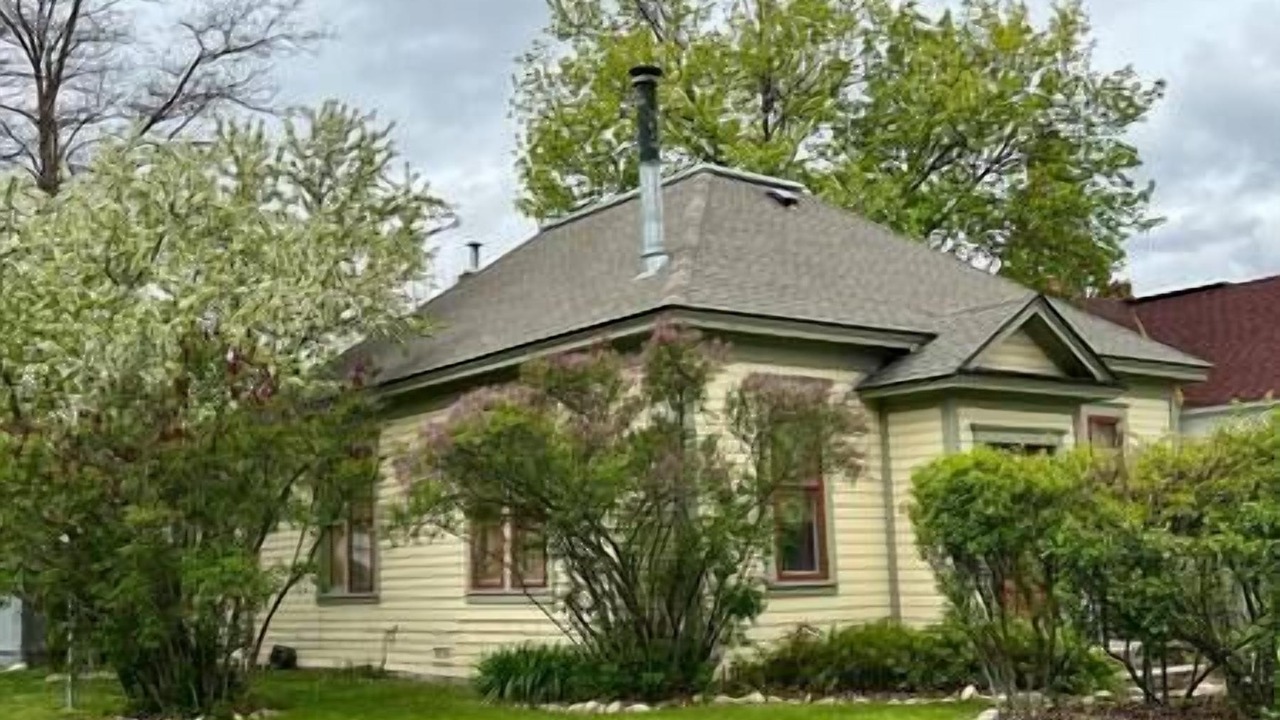 Photo of Others in Hamilton