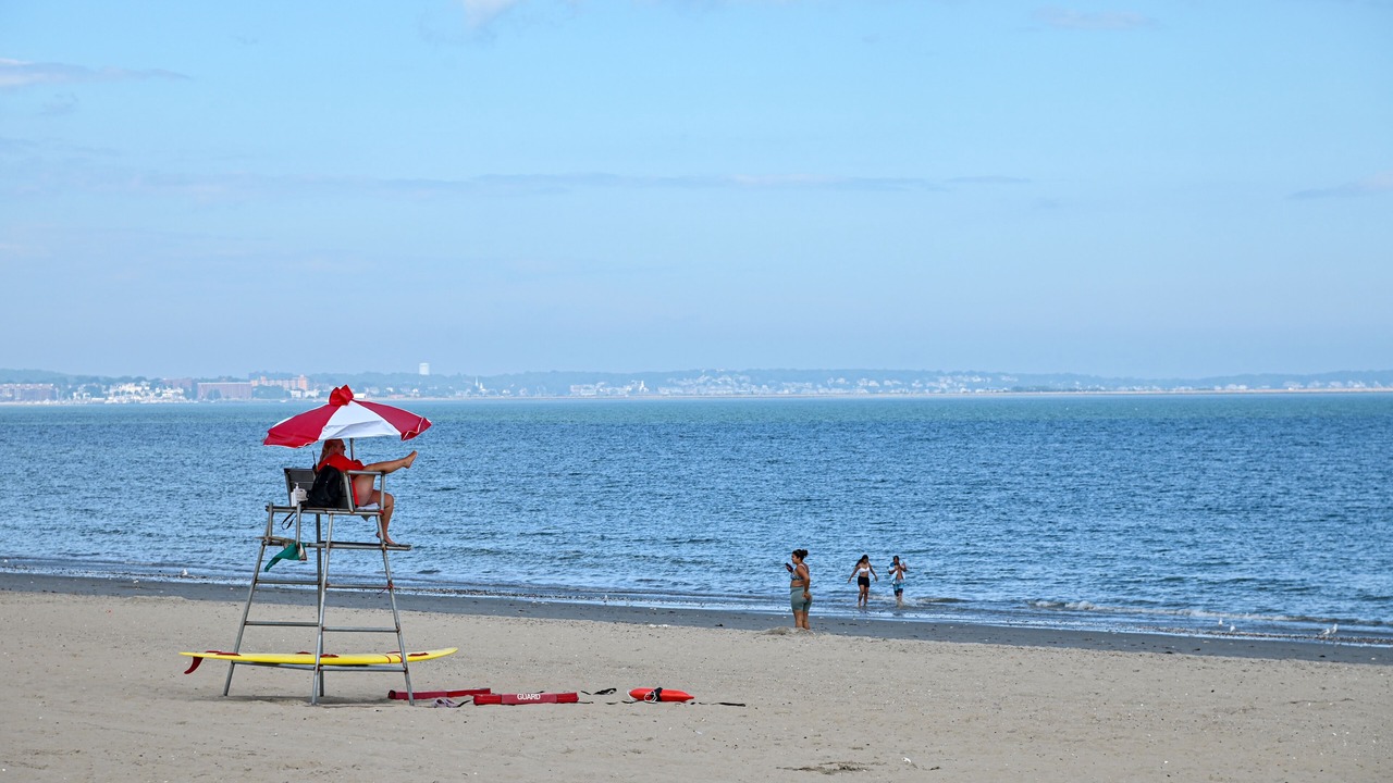 Photo of Others in Revere