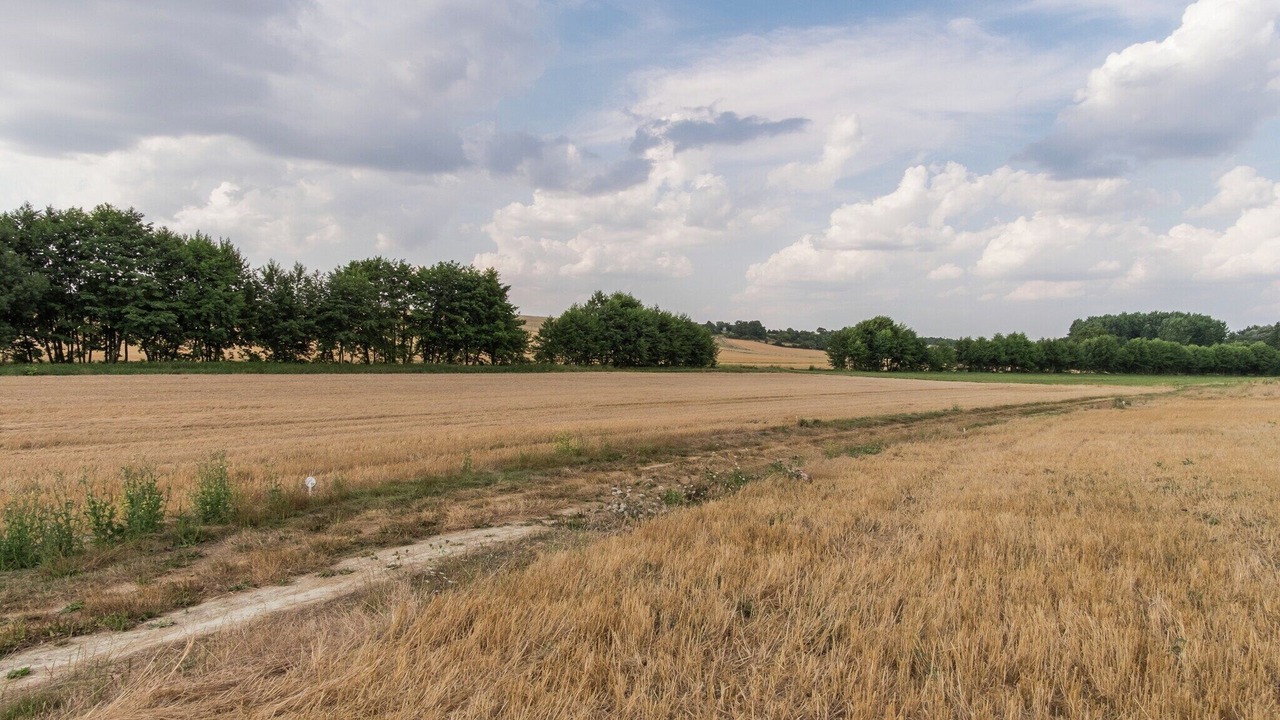 Photo of Others in Faverolles