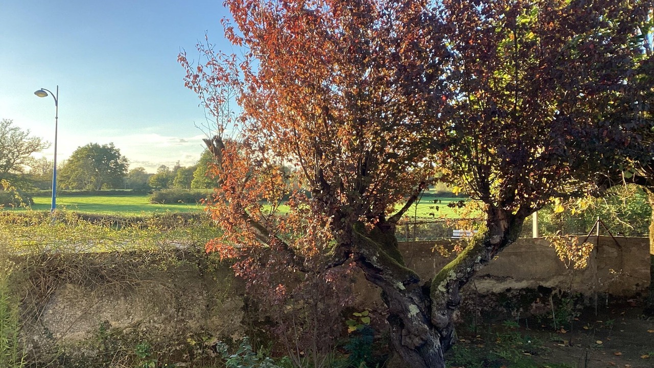 Photo of Outdoor in Le Veurdre