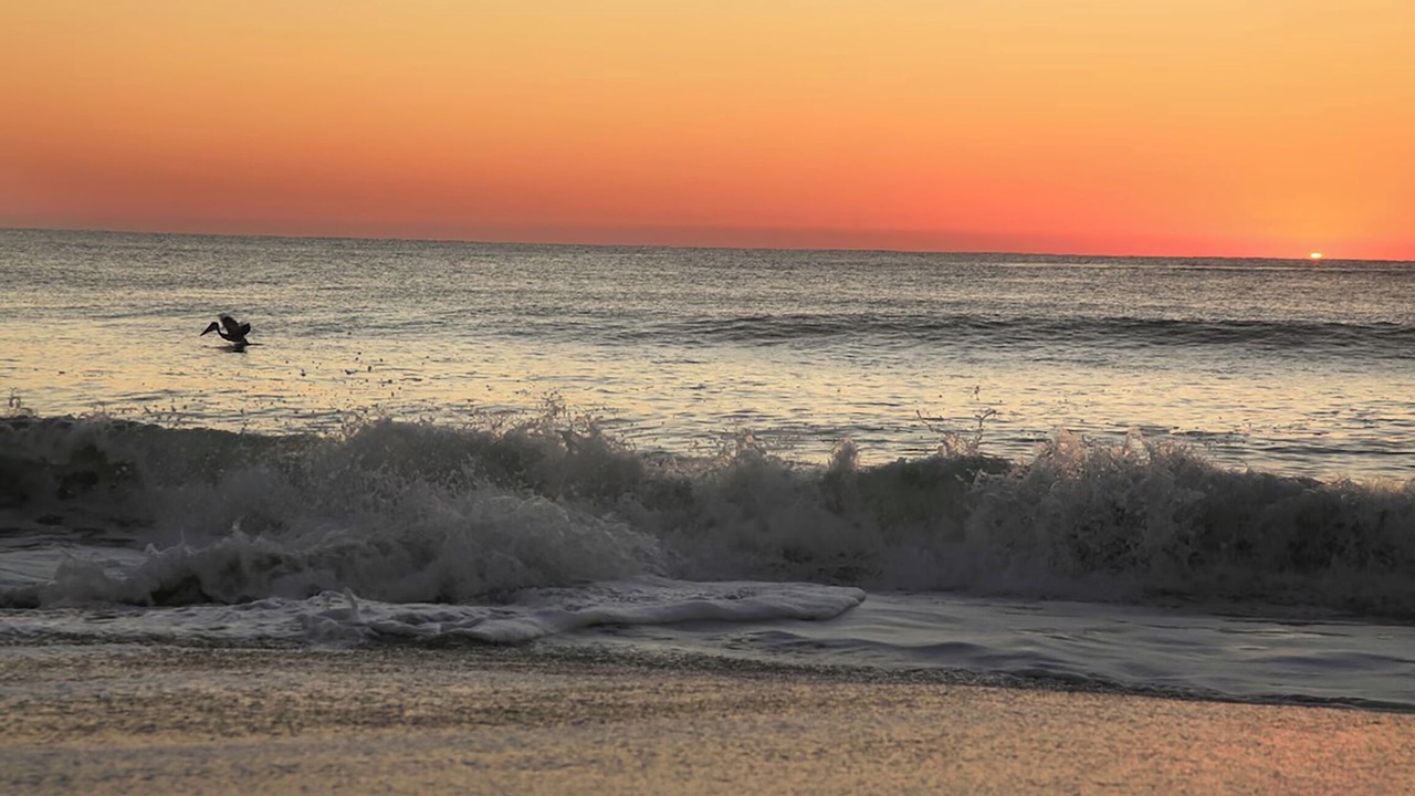 Photo of Others in Carolina Beach