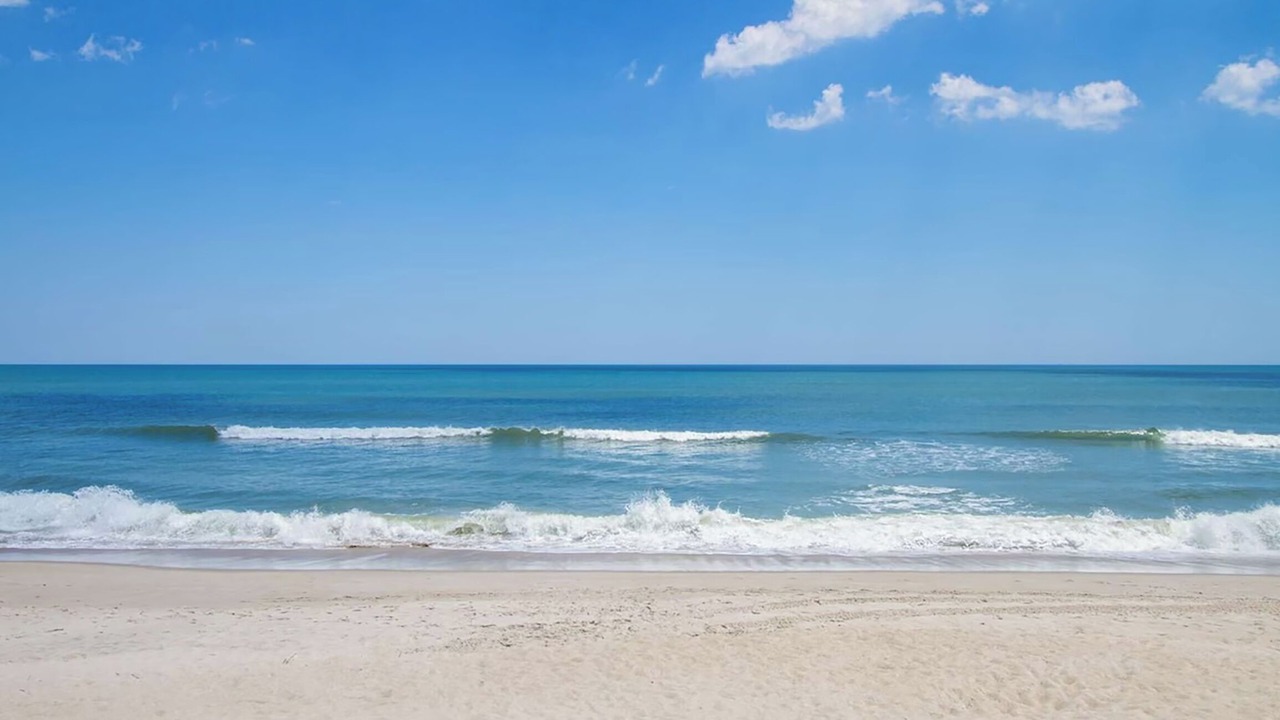 Photo of Others in Carolina Beach