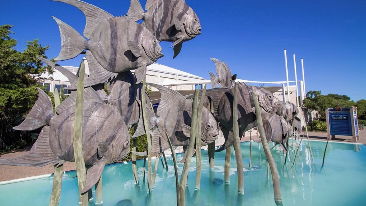Photo of Others in Carolina Beach