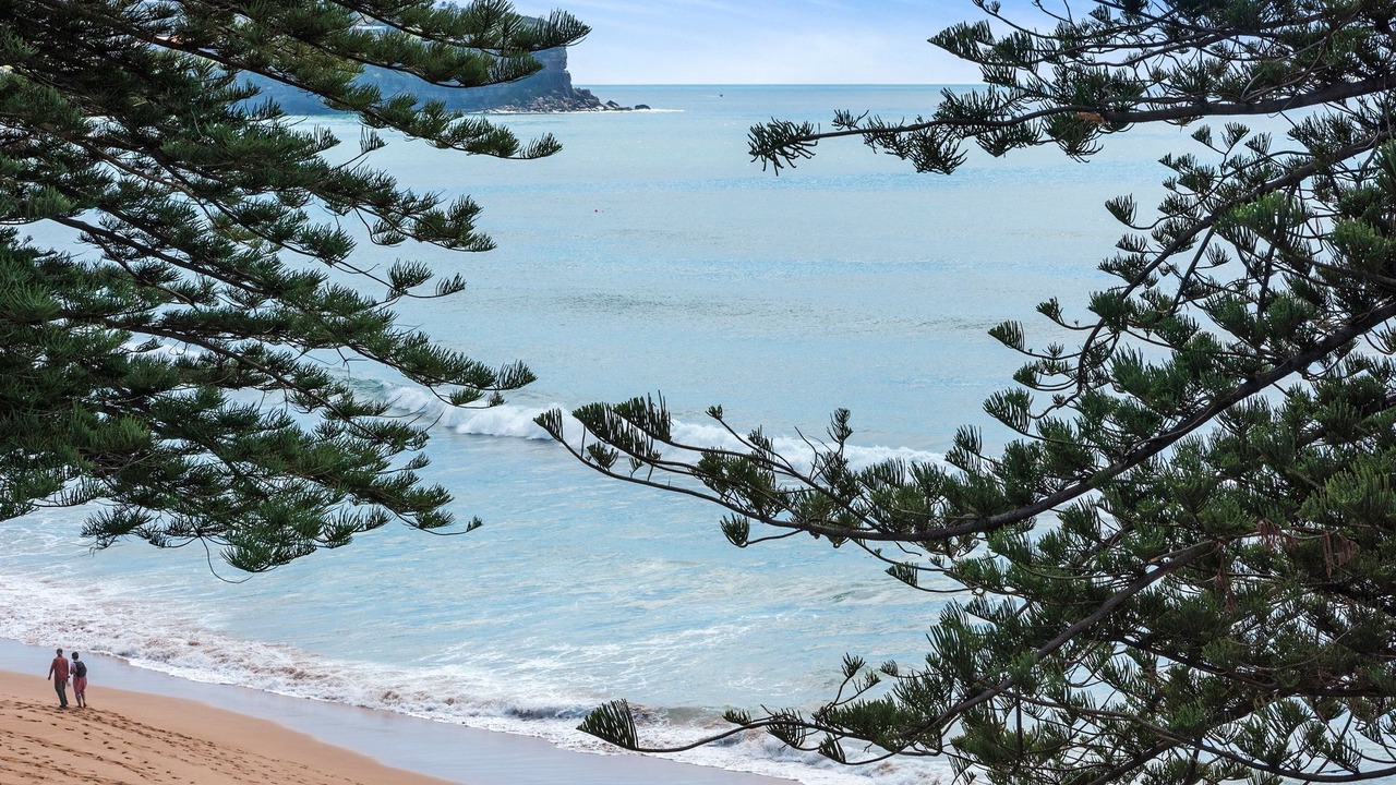 Photo of Others in Newport